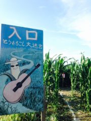 「マネーフォワードクラウド」、「普通」に操作できることがメリットなんです。