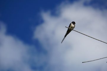 誹謗中傷ではなく、嫌な思いをされる方がもう出てこないように、